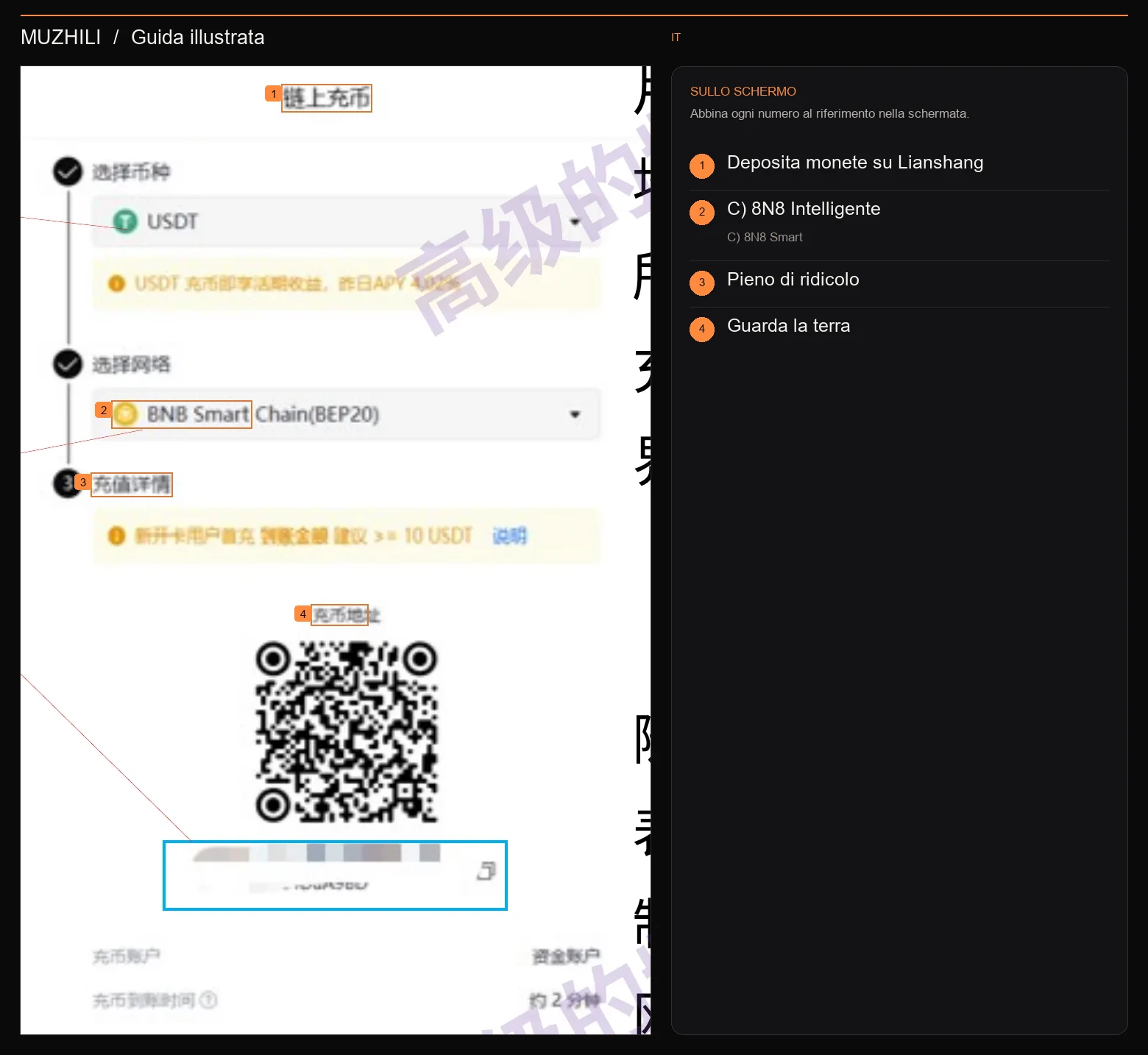 Interfaccia del sito web di apertura della carta