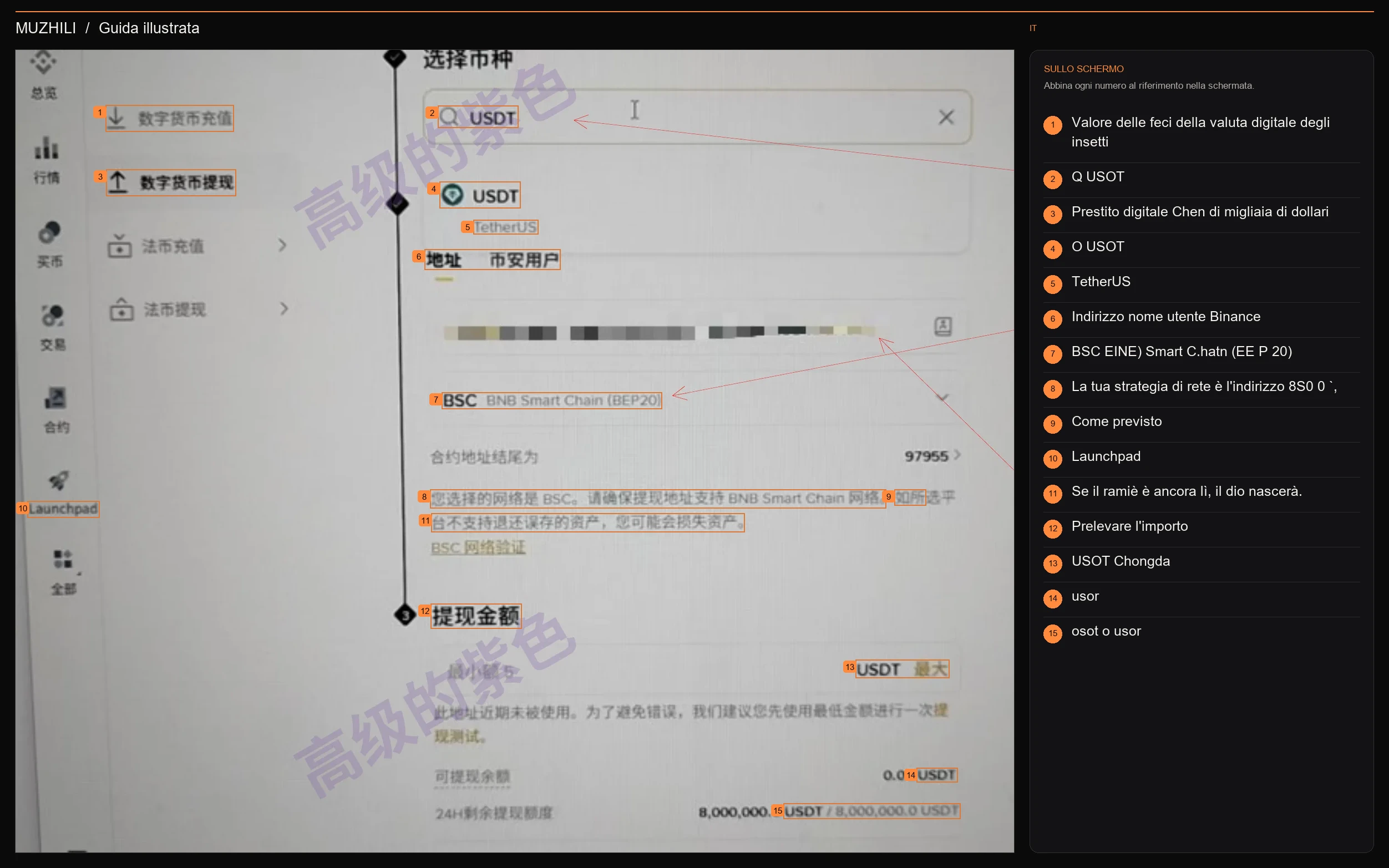 Interfaccia di Binance