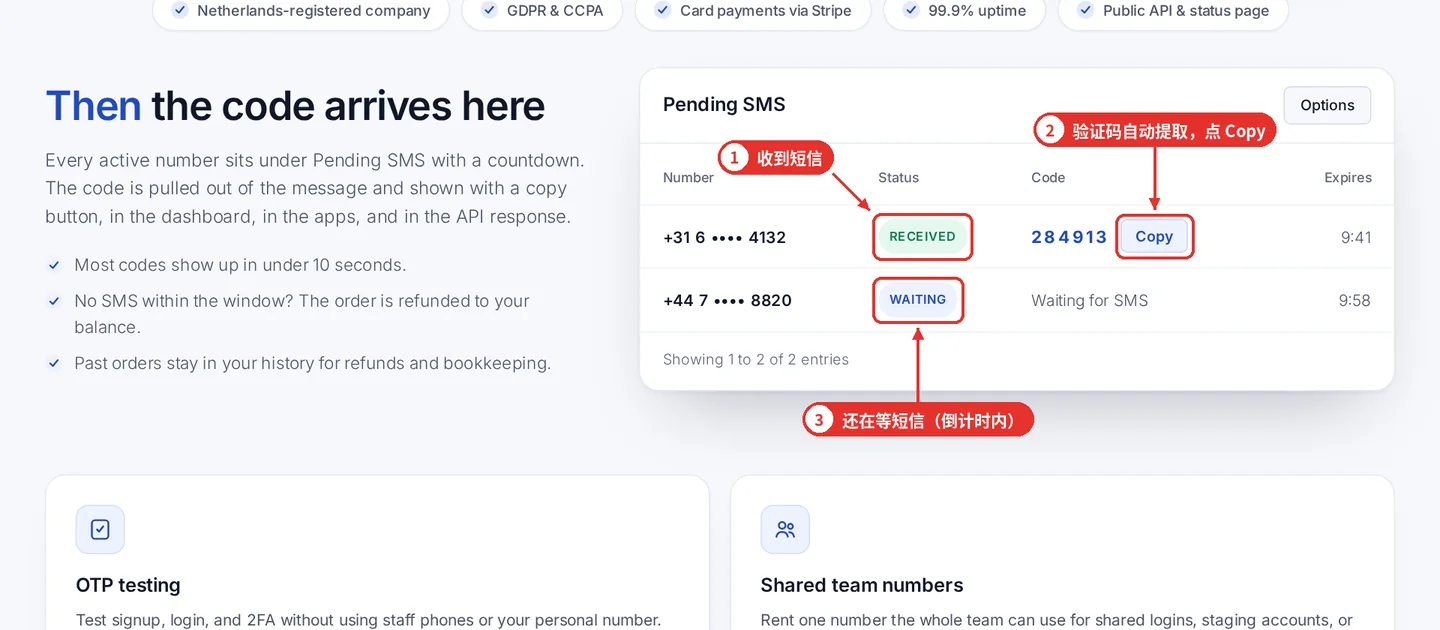 图 5：官网首页的 Pending SMS 演示